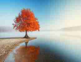 自​适﻿应‌pi